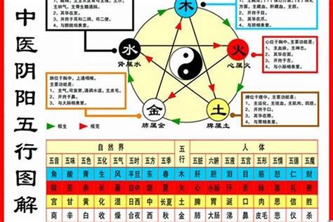 1984鼠五行|【1984年五行】揭曉！1984年五行屬什麼？鼠年的你五行命運大。